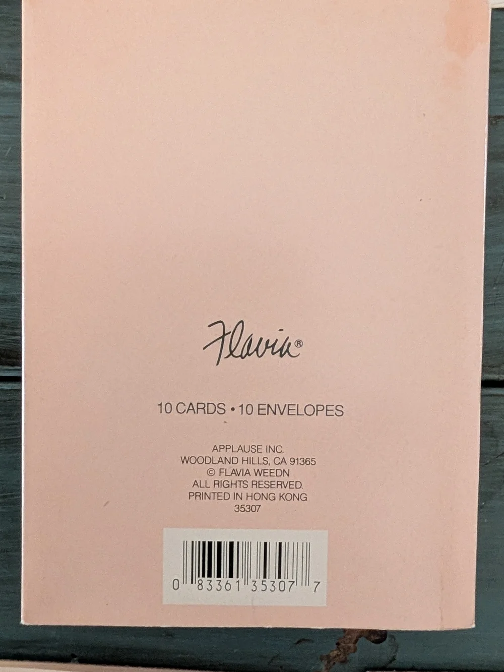 Pocket Note Blank Card Set with 3 Tiny Notepads Cards Envelope Stationary